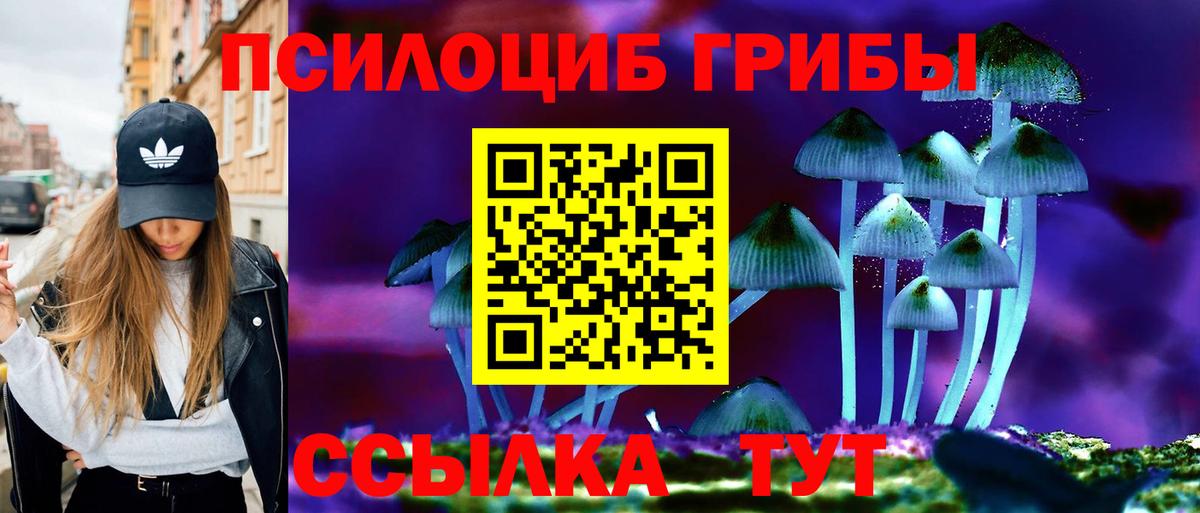 Галлюциногенные грибы мицелий Нальчик