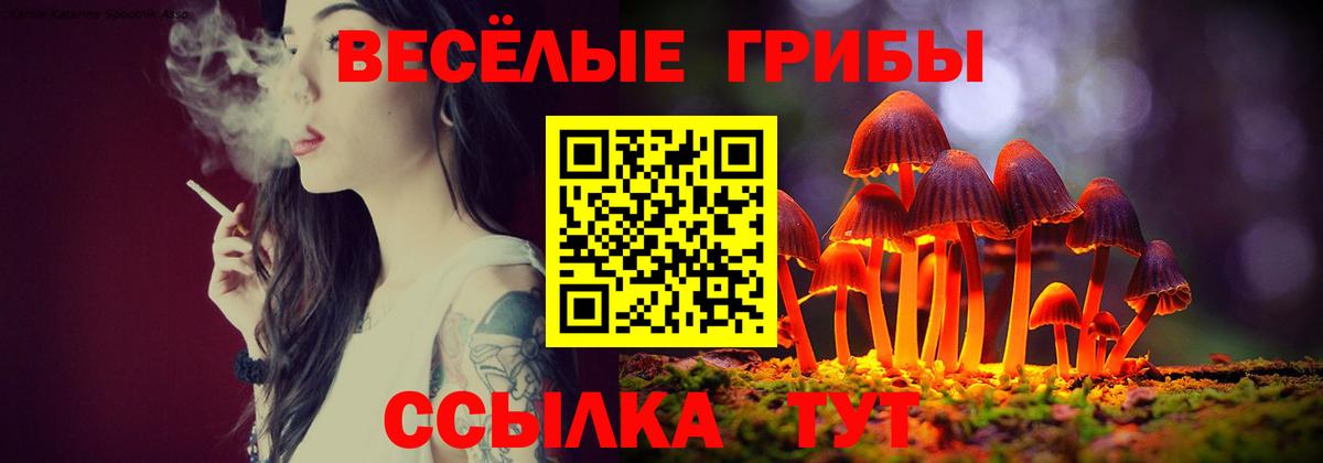Нальчик  Галлюциногенные грибы Magic Shrooms  Вход с VPN  Псилоцибиновые грибы мухоморы 